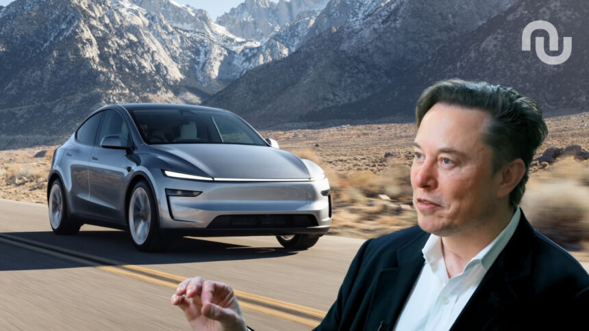 Elon Musk Tesla Model Y Montage.jpg