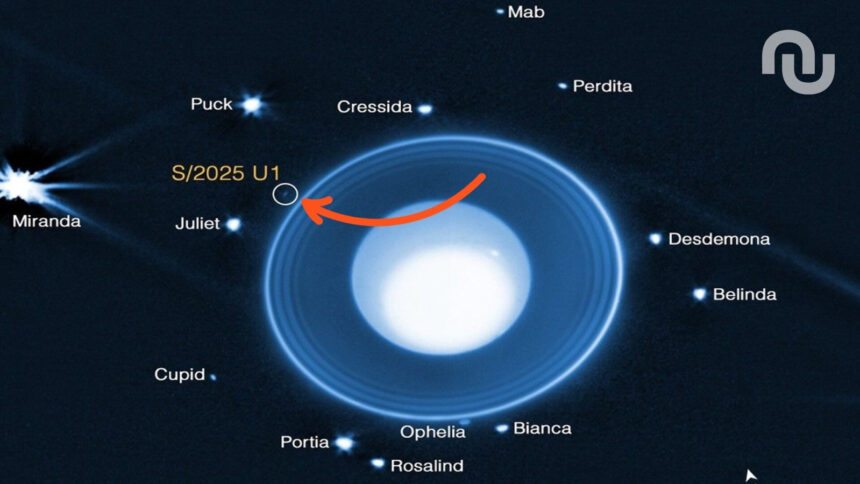 Lune Uranus.jpg