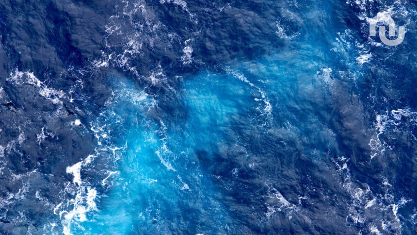 Ocean.jpg