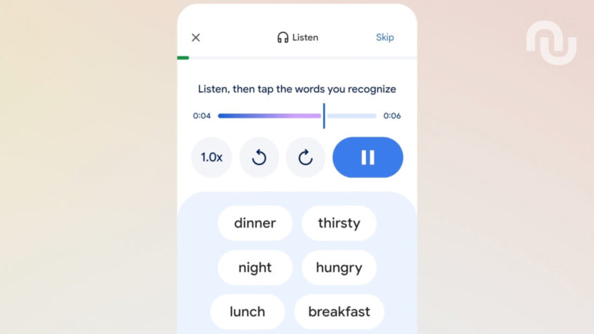 Translate Google.jpg