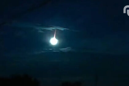 Untitled Design 21.jpg