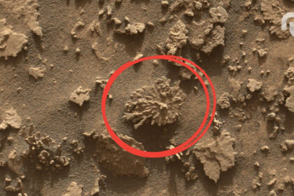 Untitled Design 22.jpg