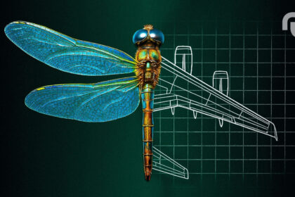 Untitled Design 24.jpg