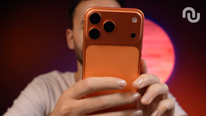 17pm Orange Back.jpg