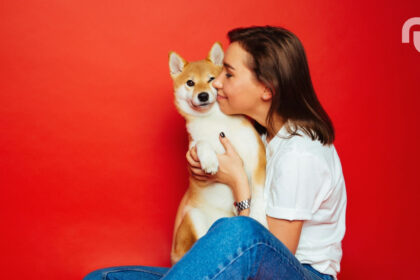 Chien Joie Calin.jpg