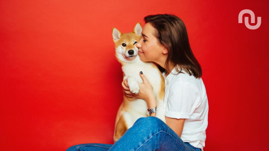 Chien Joie Calin.jpg