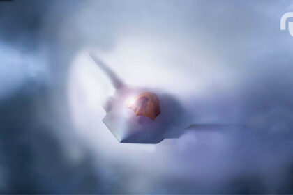 Design Sans Titre 1.jpg