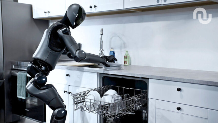 Design Sans Titre.jpg