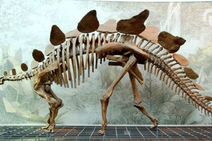 Untitled Design 32.jpg