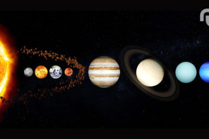 Untitled Design 34.jpg