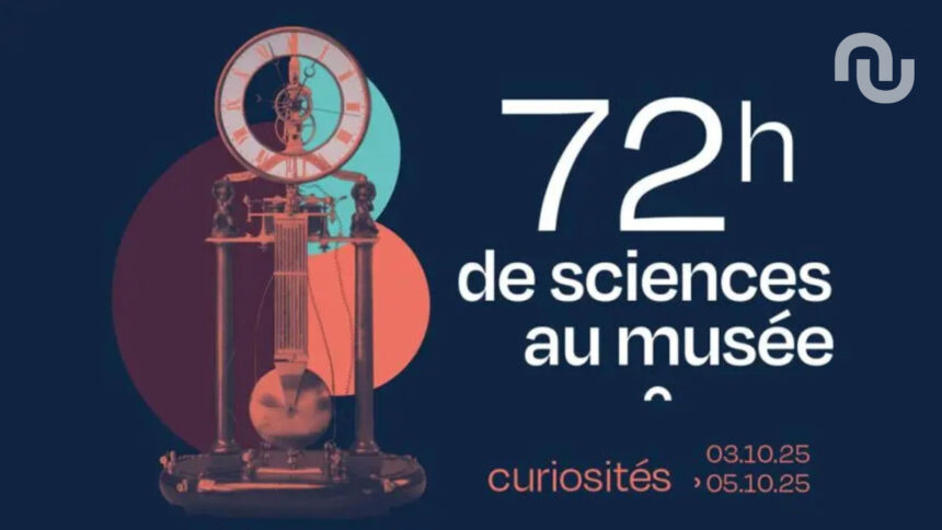 Untitled Design 35.jpg