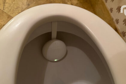 Copie De Img 3577.jpg