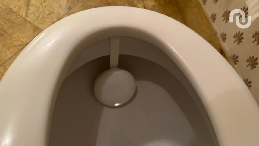 Copie De Img 3577.jpg