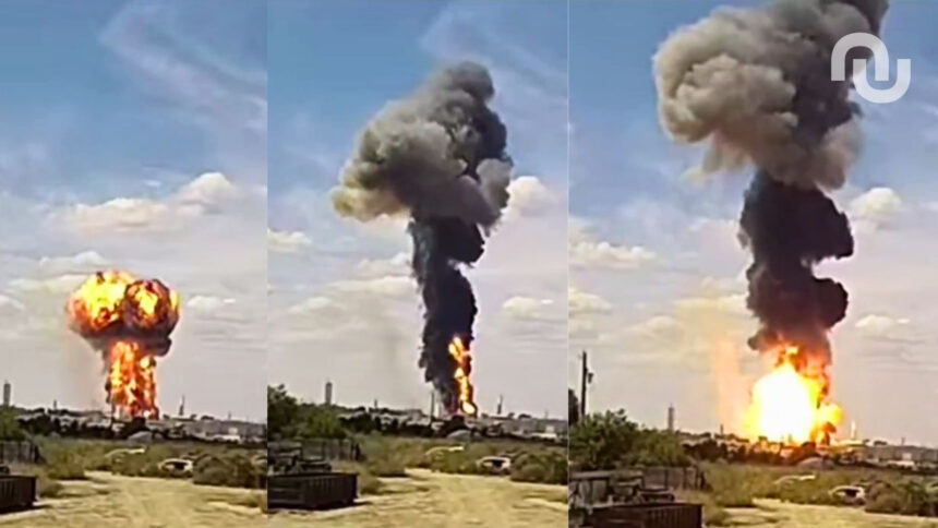 Firefly Alpha Test.jpg