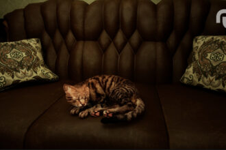 Ss 084fd1f6c6d5dfcd1b5070fcb5c042b4112d3c4c1920x1080.jpg