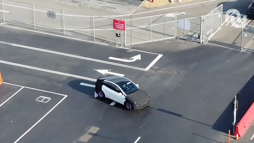 Tesla Model Y Prototype Gigafactory 3.jpg