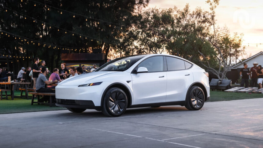 Tesla Model Y Standard 2.jpg