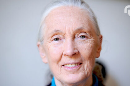 Untitled Design 36.jpg