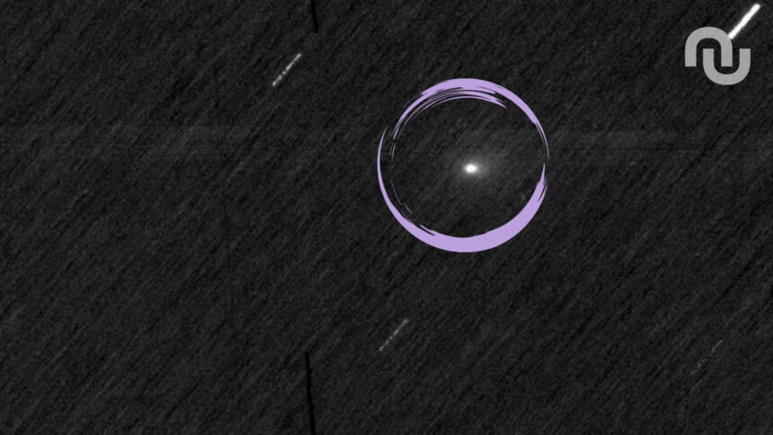 Untitled Design 37.jpg