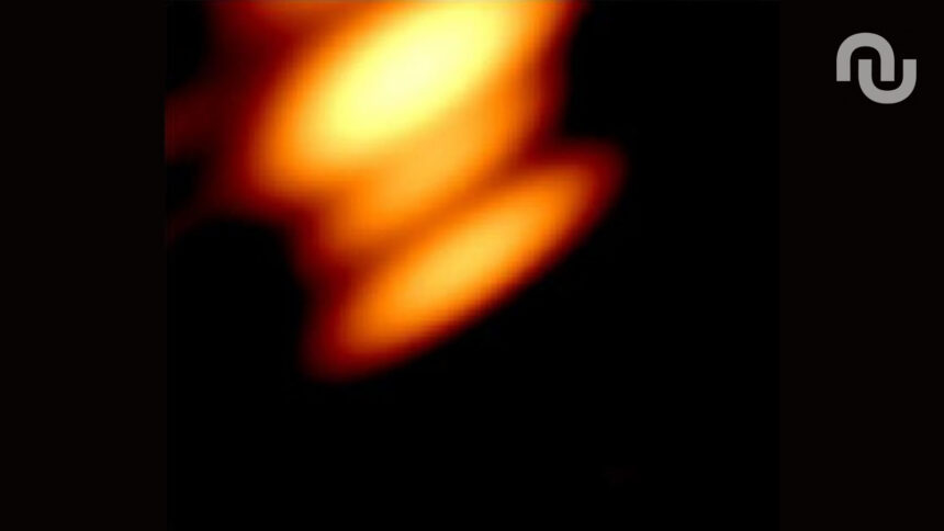 Untitled Design 39.jpg