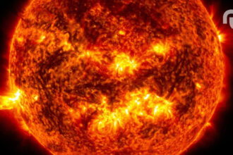 Untitled Design 41.jpg