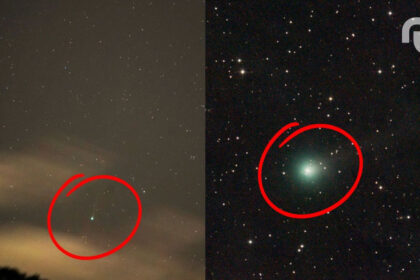 Untitled Design 48.jpg