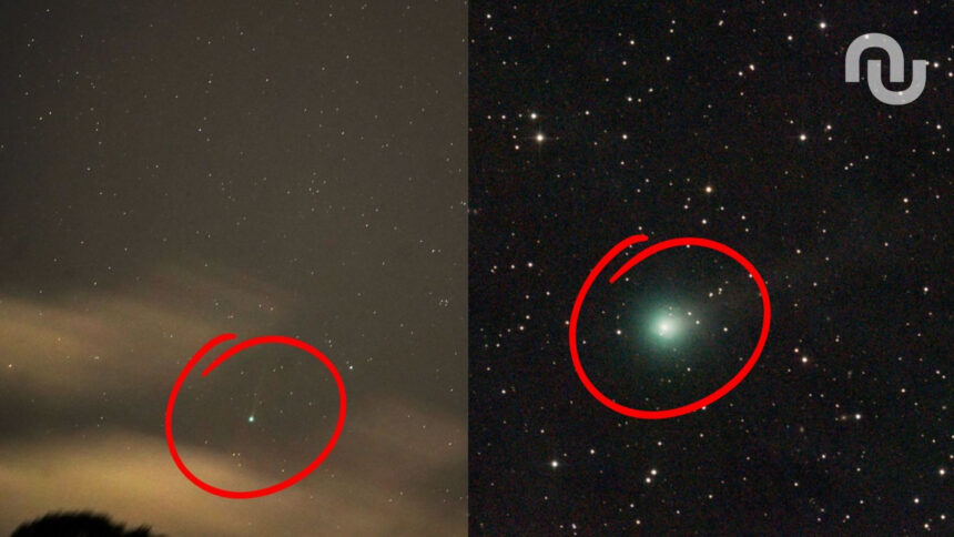 Untitled Design 48.jpg