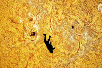 Andrew Mccarthy Soleil.jpg