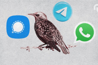 Design Sans Titre 20t143202365.jpg