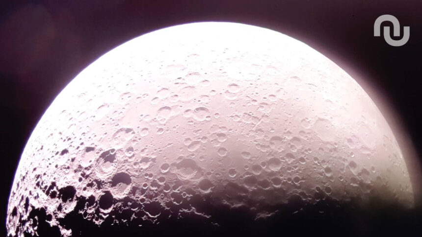 Design Sans Titre 35.jpg