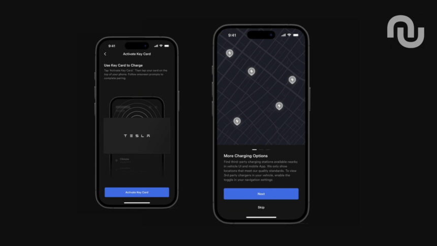 Design Sans Titre 71.jpg