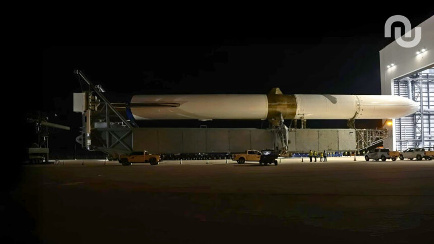 Design Sans Titre.jpg