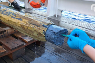 So292 Geob24930 1.jpg