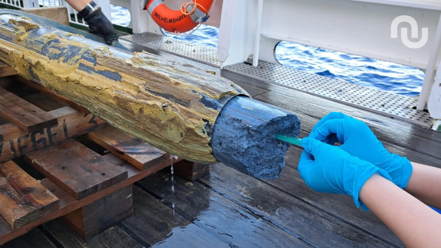 So292 Geob24930 1.jpg