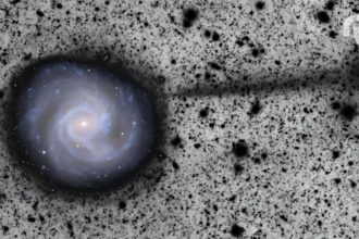 Tpwursaxh5ekw9tqyzbdeg 80.jpg